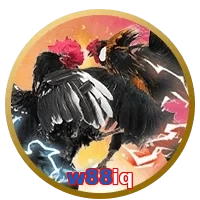 w88iq