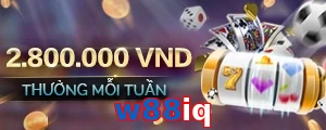 w88iq
